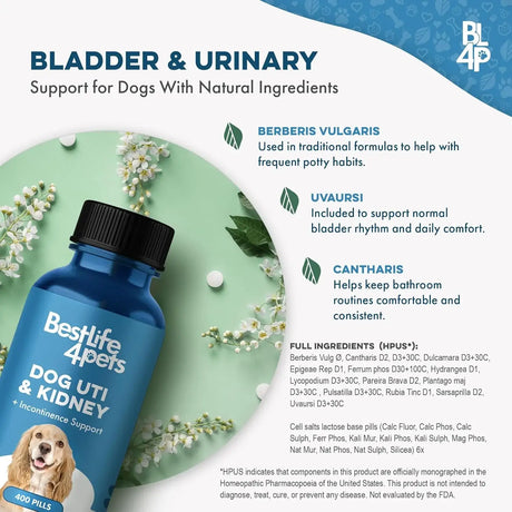 BESTLIFE4PETS - BestLife4Pets Dog UTI Treatment 400 Tabletas 2 Pack - The Red Vitamin MX - Salud De Tracto Urinario Para Perros - {{ shop.shopifyCountryName }}