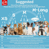 Agape Soft Cone for Cats & Dogs BLUE MEDIUM
