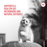 Royal Canin Probiotics for Cats Digestive and Immune Health Powder 30 Paquetes