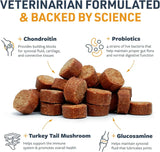 VETERINARY FORMULA - Veterinary Formula Senior Support Joint Supplement for Dogs 100 Masticables - The Red Vitamin MX - Cuidado De Cadera Y Articulaciones Para Perros - {{ shop.shopifyCountryName }}