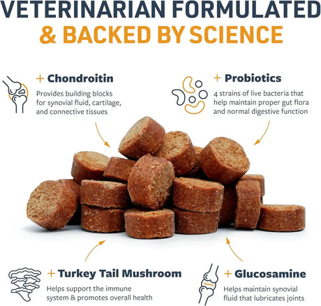 VETERINARY FORMULA - Veterinary Formula Senior Support Joint Supplement for Dogs 30 Masticables - The Red Vitamin MX - Cuidado De Cadera Y Articulaciones Para Perros - {{ shop.shopifyCountryName }}