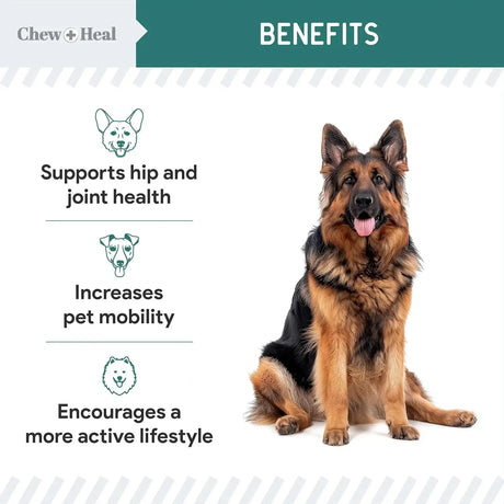 CHEW + HEAL - Chew + Heal Labs Green Lipped Mussel for Dogs 2 Oz. - The Red Vitamin MX - Cuidado De Cadera Y Articulaciones Para Perros - {{ shop.shopifyCountryName }}