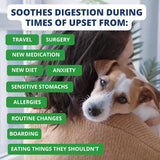 UNDER THE WEATHER - Under the Weather Bland Diet for Dogs Rice Hamburger & Bone Broth 6 Oz. 2 Pack - The Red Vitamin MX - Medicamentos Sin Receta Para Perros - {{ shop.shopifyCountryName }}
