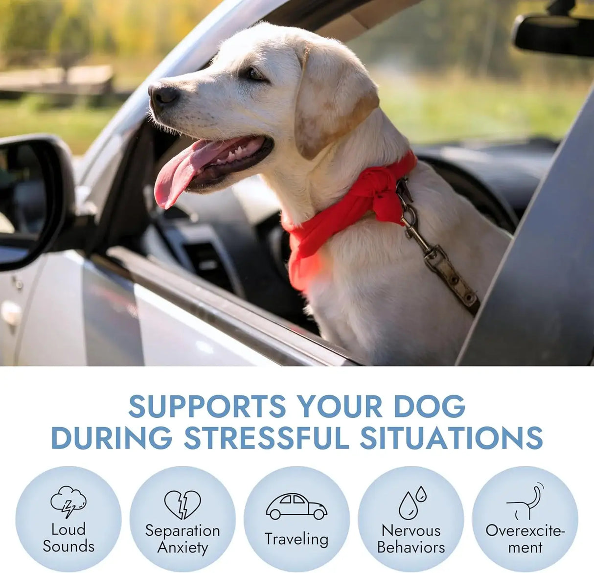 PET VET - Pet Vet Calming Chews for Dogs 60 Masticables - The Red Vitamin MX - Relajantes Para Perros - {{ shop.shopifyCountryName }}