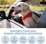 PET VET - Pet Vet Calming Chews for Dogs 60 Masticables - The Red Vitamin MX - Relajantes Para Perros - {{ shop.shopifyCountryName }}