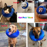 Katoggy Inflatable Dog Collar BLUE EXTRA LARGE