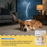 BoneItUp Pet Calming Chews for Dogs 90 Masticables