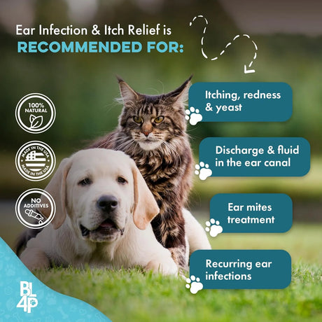 BESTLIFE4PETS - BestLife4Pets Itch Relief and Ear Infection Treatment for Dogs & Cats 400 Pastillas - The Red Vitamin MX - Cuidado Del Oído De Perros - {{ shop.shopifyCountryName }}