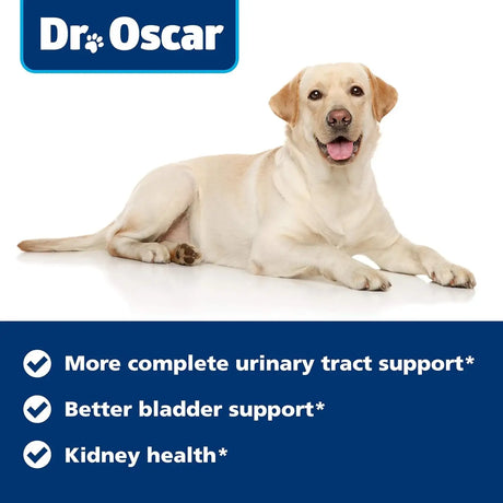 DR. OSCAR - Dr. Oscar Dog UTI Treatment Chicken Flavor 90 Tabletas - The Red Vitamin MX - Salud De Tracto Urinario Para Perros - {{ shop.shopifyCountryName }}