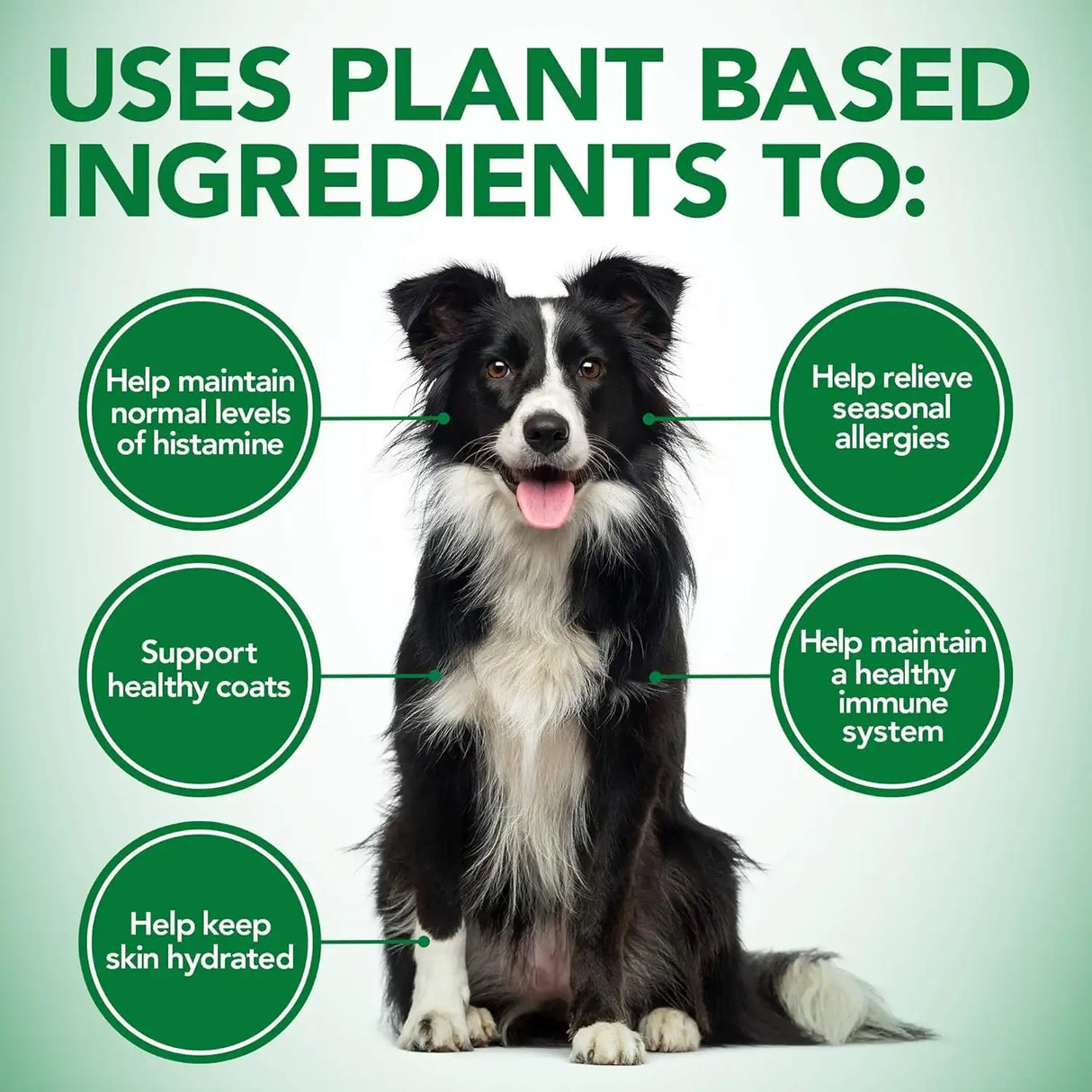 VET'S BEST - Vet's Best Healthy Coat Shed & Itch Relief Dog 150 Tabletas Masticables - The Red Vitamin MX - Remedios Para La Picazón De Perros - {{ shop.shopifyCountryName }}