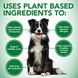 VET'S BEST - Vet's Best Healthy Coat Shed & Itch Relief Dog 150 Tabletas Masticables - The Red Vitamin MX - Remedios Para La Picazón De Perros - {{ shop.shopifyCountryName }}