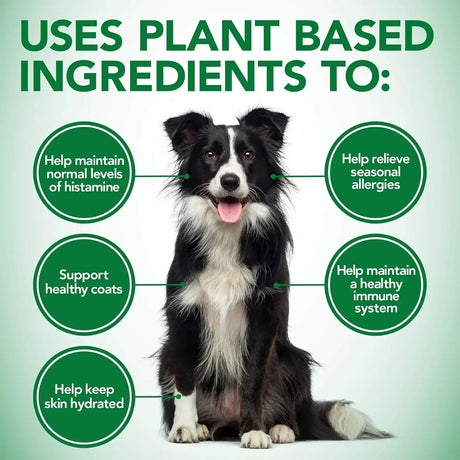 VET'S BEST - Vet's Best Healthy Coat Shed & Itch Relief Dog 150 Tabletas Masticables - The Red Vitamin MX - Remedios Para La Picazón De Perros - {{ shop.shopifyCountryName }}