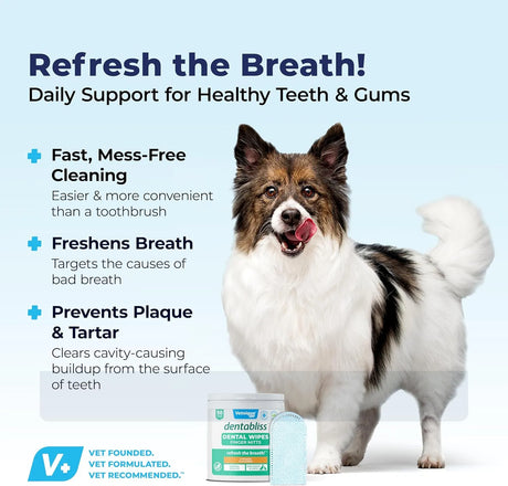 VETNIQUE - Vetnique Dentabliss Dog Teeth Cleaning Finger Mitt Dental Wipe Chicken 50 Toallitas - The Red Vitamin MX - Cuidado Dental Para Perros - {{ shop.shopifyCountryName }}
