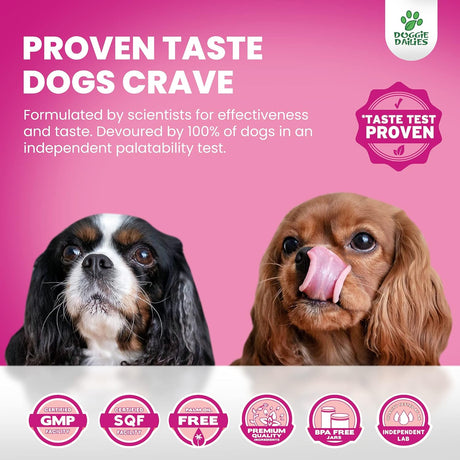 DOGGIE DAILIES - Doggie Dailies Skin & Coat Supplement + Antioxidant Support Salmon 225 Masticables - The Red Vitamin MX - Aceite De Pescado Para Perros - {{ shop.shopifyCountryName }}