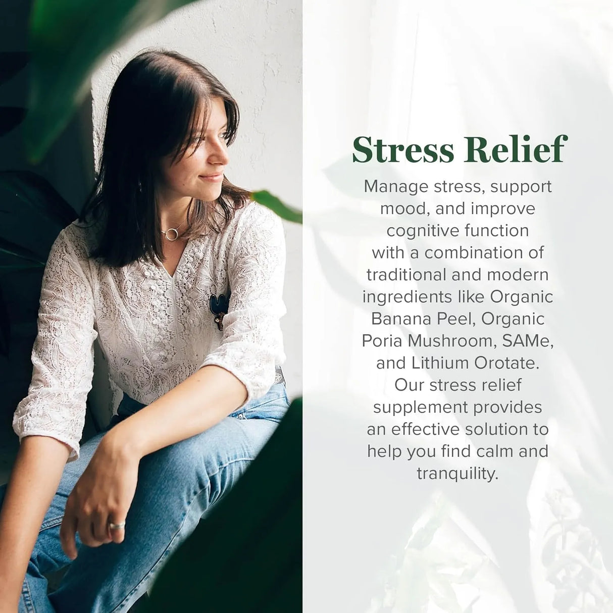 GLOBAL HEALING CENTER - Global Healing Center Stress Relief 120 Capsulas - The Red Vitamin MX - Suplementos Alimenticios - {{ shop.shopifyCountryName }}