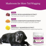 REAL MUSHROOMS - Real Mushrooms Mobility Chews for Dogs & Cats 60 Masticables - The Red Vitamin MX - Suplementos Herbales Para Perros - {{ shop.shopifyCountryName }}