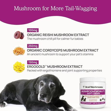 REAL MUSHROOMS - Real Mushrooms Mobility Chews for Dogs & Cats 60 Masticables - The Red Vitamin MX - Suplementos Herbales Para Perros - {{ shop.shopifyCountryName }}