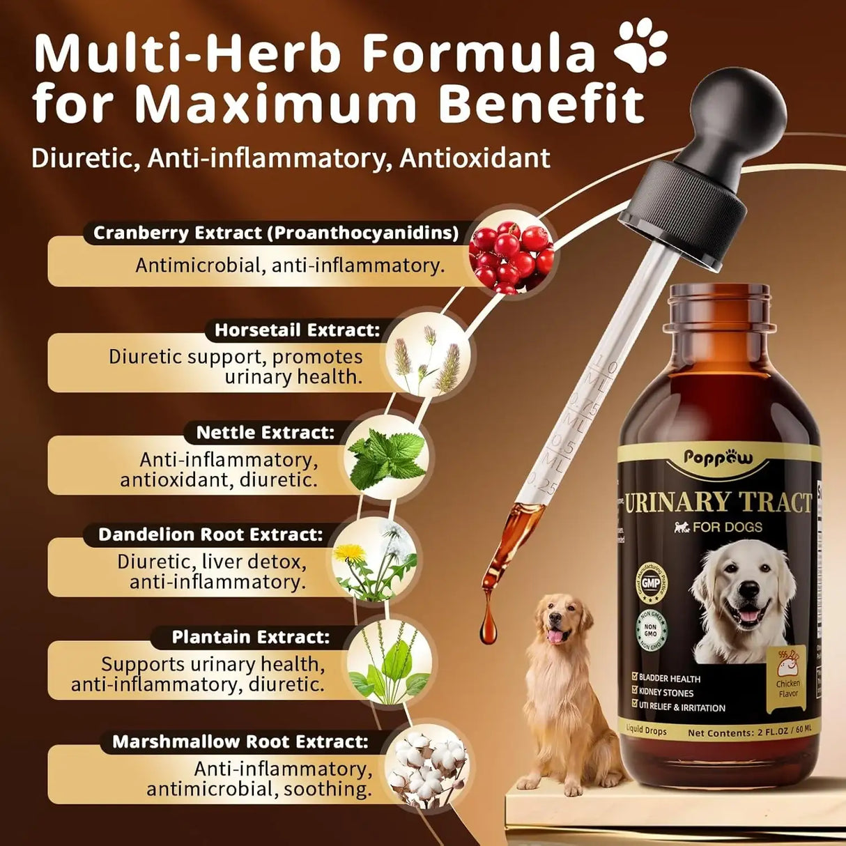 POPPAW - POPPAW Dog UTI Treatment & Urinary Tract Support CHICKEN Flavor 2 Fl.Oz. - The Red Vitamin MX - Salud De Tracto Urinario Para Perros - {{ shop.shopifyCountryName }}