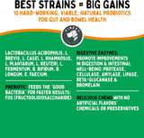 TUMMYWORKS - TummyWorks Probiotic Soft Chews for Dogs 120 Masticables - The Red Vitamin MX - Probióticos Para Perros - {{ shop.shopifyCountryName }}