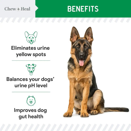 CHEW + HEAL - Chew + Heal Labs Dog Urine Neutralizer for Lawn 120 Masticables 2 Pack - The Red Vitamin MX - Salud De Tracto Urinario Para Perros - {{ shop.shopifyCountryName }}