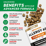 STRELLALAB - StrellaLab Advanced Dog Allergy Relief & Anti Itch Support Chews Bacon 120 Masticables - The Red Vitamin MX - Remedios Para La Picazón De Perros - {{ shop.shopifyCountryName }}