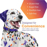 VIRBAC - Virbac MOVOFLEX Soft Chews Hip and Joint Support for Medium Dogs 60 Masticables 2 Pack - The Red Vitamin MX - Cuidado De Cadera Y Articulaciones Para Perros - {{ shop.shopifyCountryName }}