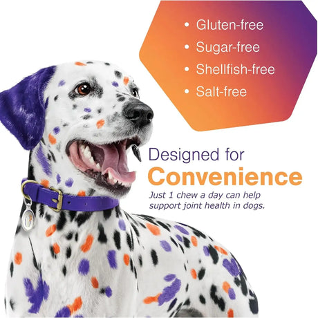 VIRBAC - Virbac MOVOFLEX Soft Chews Hip and Joint Support for Medium Dogs 60 Masticables 2 Pack - The Red Vitamin MX - Cuidado De Cadera Y Articulaciones Para Perros - {{ shop.shopifyCountryName }}