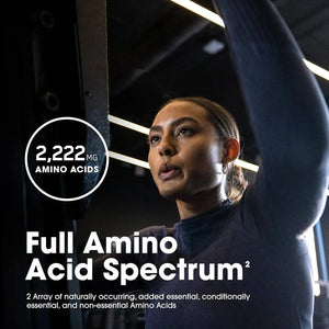 OPTIMUM NUTRITION - Optimum Nutrition Superior Amino 2222 160 Tabletas - The Red Vitamin MX - Suplementos Alimenticios - {{ shop.shopifyCountryName }}