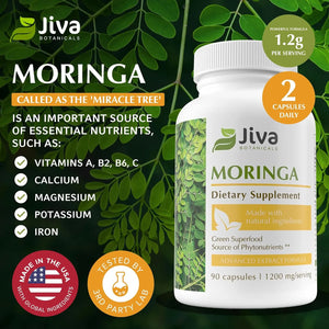 JIVA BOTANICALS - Jiva Botanicals Moringa Leaves Extract 90 Capsulas - The Red Vitamin MX - Suplementos Alimenticios - {{ shop.shopifyCountryName }}