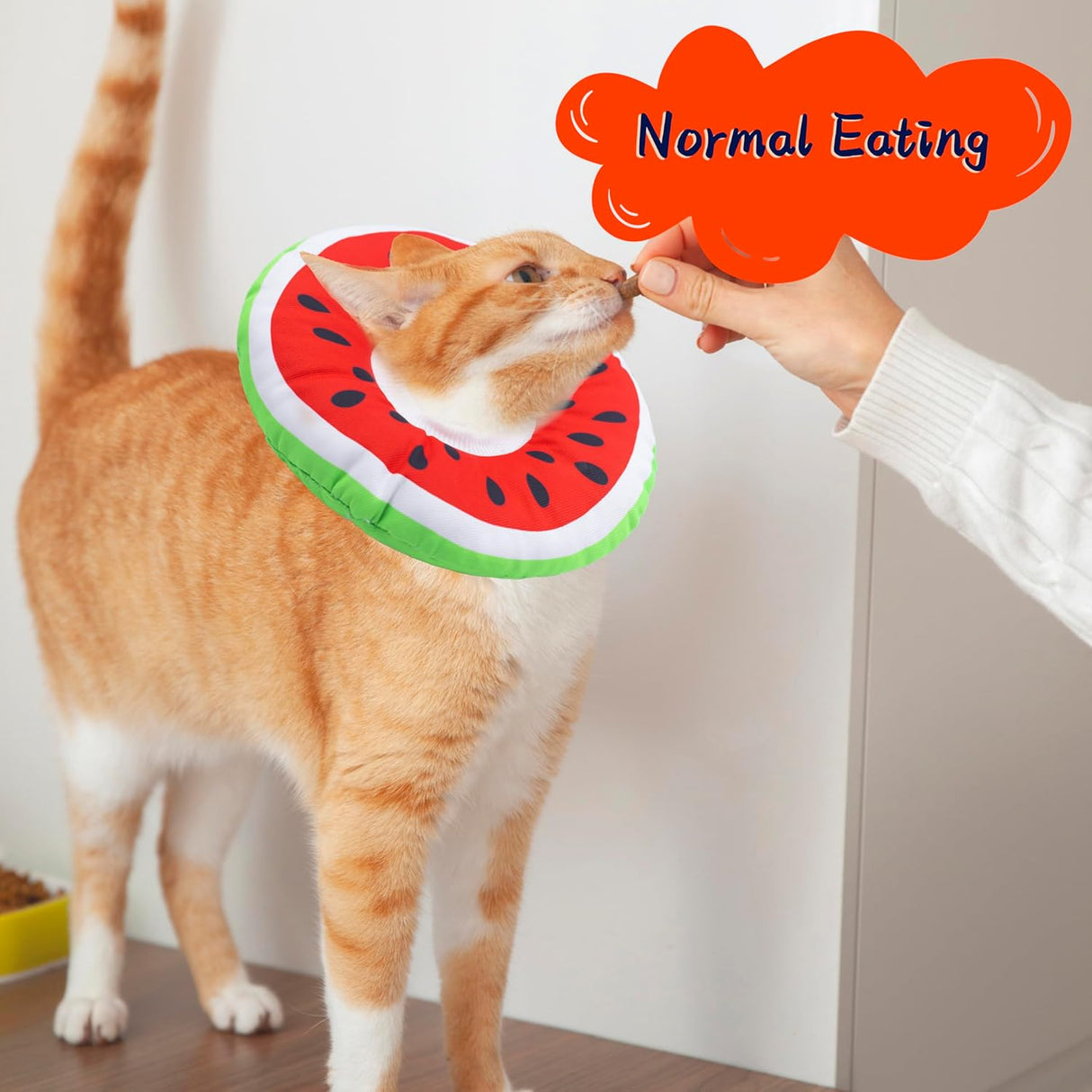 Seyezo Cat Cone Collar Soft Watermelon Large
