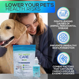 DRY ELEMENT - Dry Element Pet Water Care Dog and Cat Water Additive for Dental and Oral Care 1 Fl.Oz. - The Red Vitamin MX - Cuidado Dental Para Perros - {{ shop.shopifyCountryName }}