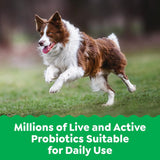 GREENIES - Greenies Supplements Digestive Health Probiotics for Dogs Chicken Flavor 80 Masticables - The Red Vitamin MX - Probióticos Para Perros - {{ shop.shopifyCountryName }}