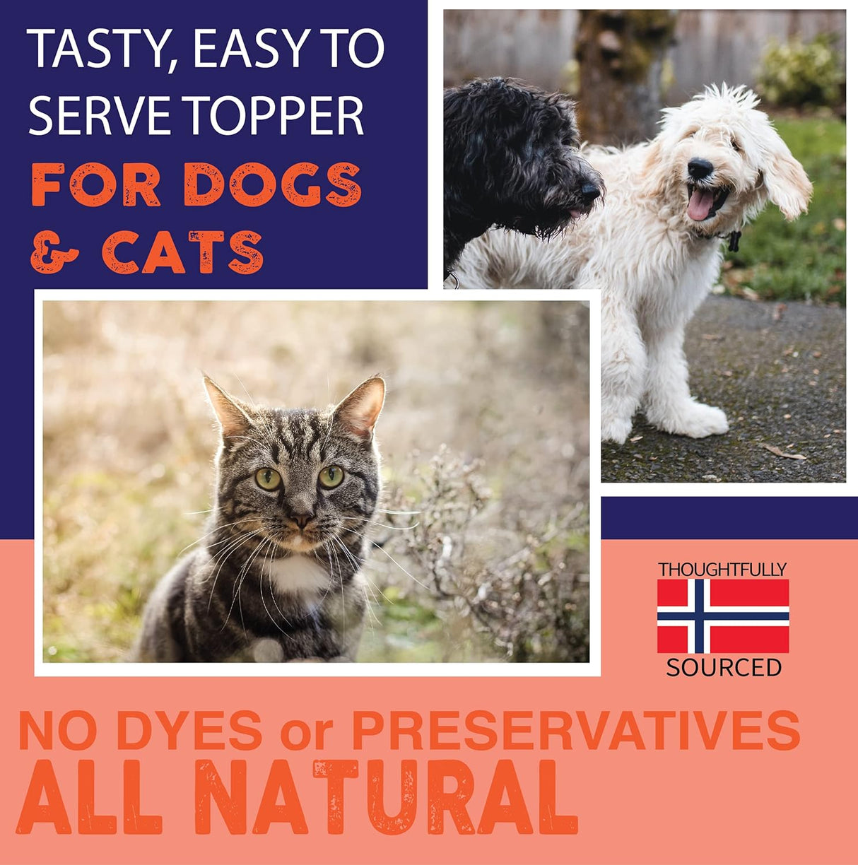 NATURE'S DIET - Nature's Diet Norwegian Salmon Oil Dogs & Cats 32 Fl.Oz. - The Red Vitamin MX - Aceite De Pescado Para Perros - {{ shop.shopifyCountryName }}