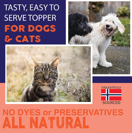 NATURE'S DIET - Nature's Diet Norwegian Salmon Oil Dogs & Cats 32 Fl.Oz. - The Red Vitamin MX - Aceite De Pescado Para Perros - {{ shop.shopifyCountryName }}