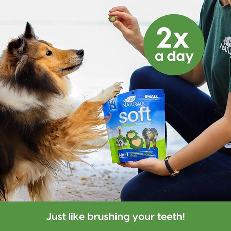 ARK NATURALS - Ark Naturals Soft Brushless Toothpaste Dog Dental Chews for Small Breeds 340Gr. - The Red Vitamin MX - Cuidado Dental Para Perros - {{ shop.shopifyCountryName }}