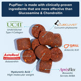 BIOPUP - BioPup PupFlex+ Dog Joint Supplement 60 Masticables - The Red Vitamin MX - Cuidado De Cadera Y Articulaciones Para Perros - {{ shop.shopifyCountryName }}