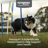Nutramax Laboratories Dasuquin with MSM Joint Health for Large Dogs 84 Masticables
