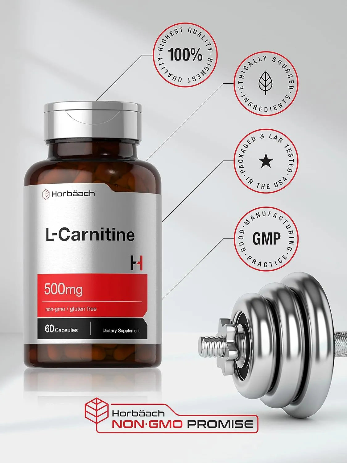 HORBAACH - Horbaach L Carnitine 500Mg. 60 Capsulas - The Red Vitamin MX - Suplementos Alimenticios - {{ shop.shopifyCountryName }}