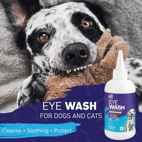 SPANIELBUNS - Spanielbuns Dog Eye Drops 200Ml. 2 Pack - The Red Vitamin MX - Cuidado De Los Ojos De Los Perros - {{ shop.shopifyCountryName }}