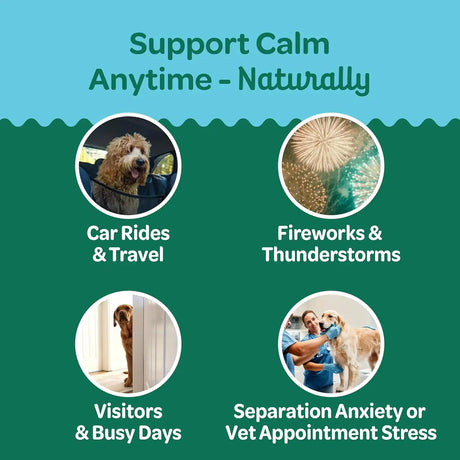 WHOLESOME PRIDE - Wholesome Pride Calming Supplement for Dogs 90 Masticables - The Red Vitamin MX - Relajantes Para Perros - {{ shop.shopifyCountryName }}