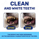 CHEWY MAX - Chewy Max Dog Teeth Cleaning Dental Powder 100Gr. - The Red Vitamin MX - Cuidado Dental Para Perros - {{ shop.shopifyCountryName }}