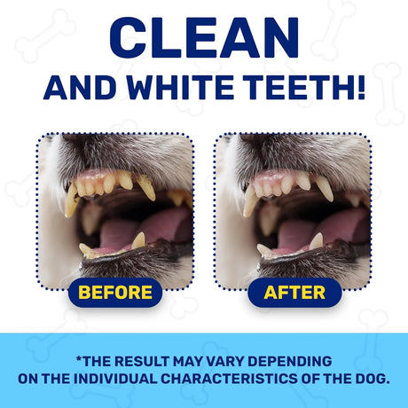 CHEWY MAX - Chewy Max Dog Teeth Cleaning Dental Powder 100Gr. - The Red Vitamin MX - Cuidado Dental Para Perros - {{ shop.shopifyCountryName }}