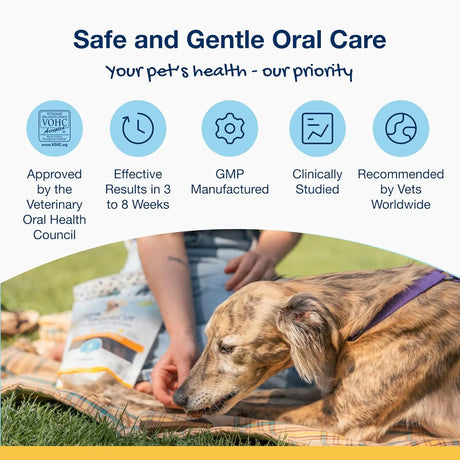 PRODEN - Proden PlaqueOff Sytem Mini Dental Care Bones for Dogs 20 Piezas - The Red Vitamin MX - Cuidado Dental Para Perros - {{ shop.shopifyCountryName }}