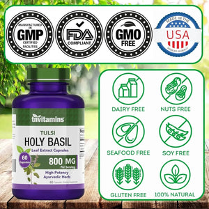 TNTVITAMINS - tnvitamins Holy Basil 800Mg. 60 Capsulas - The Red Vitamin MX - Suplementos Alimenticios - {{ shop.shopifyCountryName }}