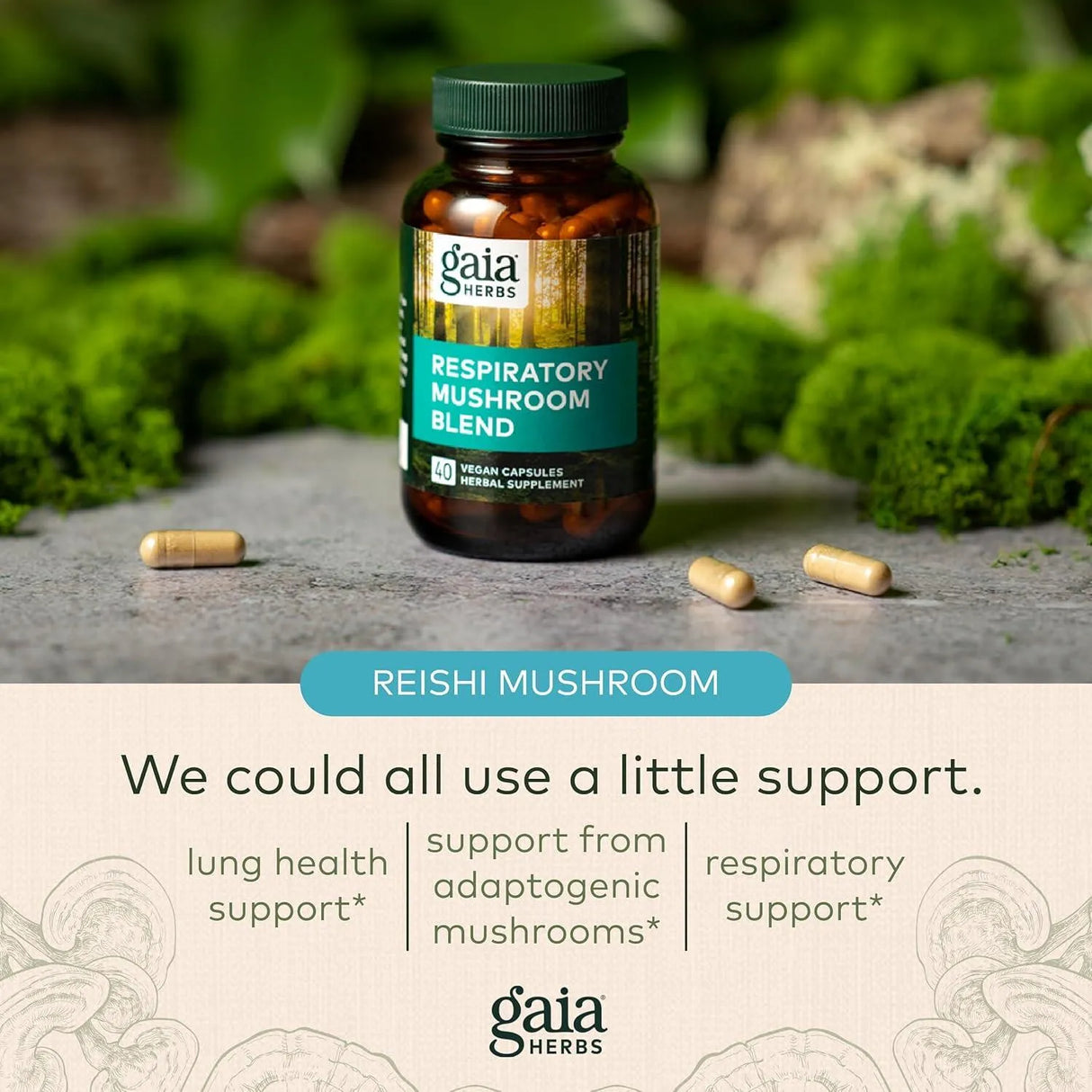 GAIA HERBS - Gaia Herbs Respiratory Mushroom Blend 40 Capsulas - The Red Vitamin MX - Suplementos Alimenticios - {{ shop.shopifyCountryName }}