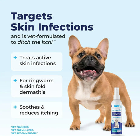 VETNIQUE - Vetnique Dermabliss Medicated Chlorhexidine Antiseptic Skin Spray for Dogs & Cats 8 Fl.Oz. - The Red Vitamin MX - Remedios Para La Picazón De Perros - {{ shop.shopifyCountryName }}