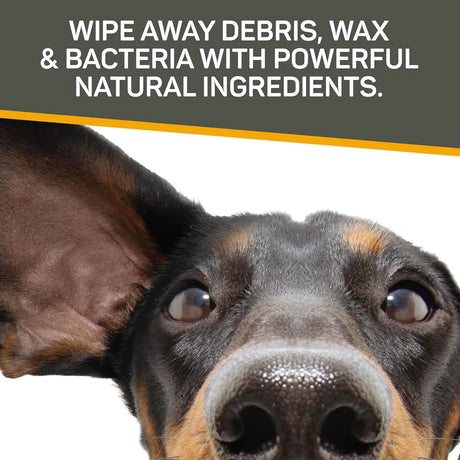 ABSORBINE - Absorbine Silver Honey Rapid Ear Care Vet Strength Pet Wipes 50 Toallitas - The Red Vitamin MX - Cuidado Del Oído De Perros - {{ shop.shopifyCountryName }}