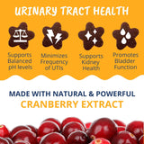 Under The Weather Pet Urinary Tract Support Chews for Cats 60 Masticables