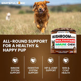 GRATEFUL PAWZ - Grateful Pawz Dog Mushroom Multivitamin Chewable 170 Masticables - The Red Vitamin MX - Multivitamínicos Para Perros - {{ shop.shopifyCountryName }}