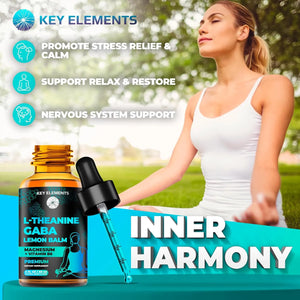 KEY ELEMENTS - Key Elements Liquid GABA with L Theanine 60Ml. - The Red Vitamin MX - Suplementos Alimenticios - {{ shop.shopifyCountryName }}